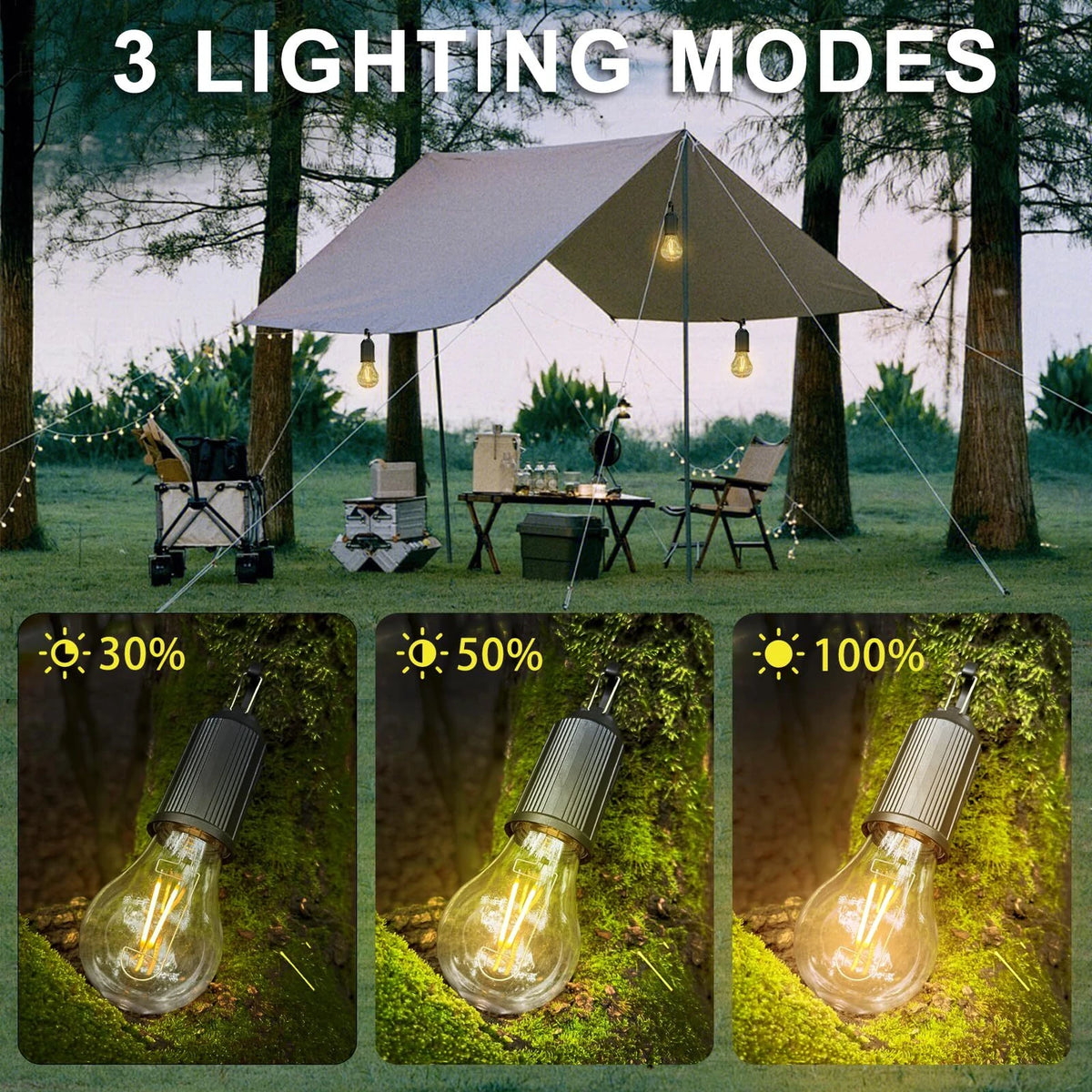 Decorative Hanging Bulb with 3 Modes Tent Lamp for Camping Pac of 2